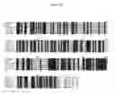 Fig. 08 - Novel Polypeptides Having Endolysin Activity and Uses Thereof