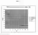 Fig. 32 - Novel Polypeptides Having Endolysin Activity and Uses Thereof