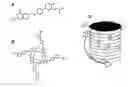 Fig. 01 - Method for manufacturing mesoporous materials, materials so produced and use of mesoporous materials