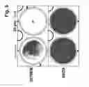 Fig. 06 - Methods for Reversing Multiple Resistance in Animal Cells