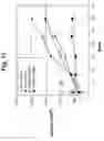 Fig. 13 - Methods for Reversing Multiple Resistance in Animal Cells