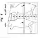 Fig. 14 - Methods for Reversing Multiple Resistance in Animal Cells