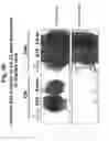 Fig. 28 - Methods for Reversing Multiple Resistance in Animal Cells