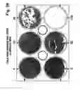 Fig. 31 - Methods for Reversing Multiple Resistance in Animal Cells