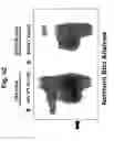 Fig. 44 - Methods for Reversing Multiple Resistance in Animal Cells