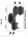 Fig. 45 - Methods for Reversing Multiple Resistance in Animal Cells