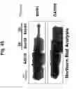 Fig. 47 - Methods for Reversing Multiple Resistance in Animal Cells