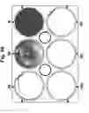 Fig. 50 - Methods for Reversing Multiple Resistance in Animal Cells