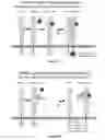 Fig. 02 - Antibodies immunoreactive with heregulin-coupled HER3