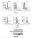 Fig. 03 - Ninjurin-1 modulation and uses thereof
