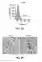 Fig. 04 - Ninjurin-1 modulation and uses thereof