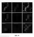Fig. 06 - Ninjurin-1 modulation and uses thereof