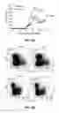 Fig. 10 - Ninjurin-1 modulation and uses thereof
