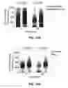 Fig. 17 - Ninjurin-1 modulation and uses thereof