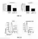 Fig. 18 - Ninjurin-1 modulation and uses thereof