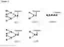 Fig. 02 - Method of transfection and compositions therefor