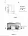 Fig. 02 - METHOD OF COSMETIC CARE STIMULATING MITOCHONDRIAL ACONITASE