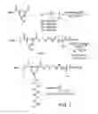 Fig. 02 - Enzymatic Synthesis of Polymers
