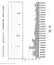 Fig. 45 - Compositions and methods for treating insulin resistance and diabetes mellitus