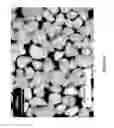 Fig. 07 - Controlled-release floating pharmaceutical compositions