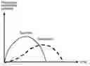 Fig. 01 - NATURAL SWEETENER COMPOSITION