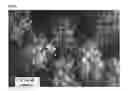 Fig. 02 - INKJET RECORDING PAPER