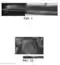 Fig. 02 - POLYMERS CONTAINING HEXAGONAL BORON NITRIDE PARTICLES COATED WITH TURBOSTRATIC CARBON AND PROCESS FOR PREPARING SAME