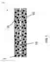 Fig. 02 - ULTRAVIOLET-DULL RESPONSE IN SECURITY TAGGANTS