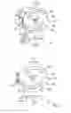 Fig. 04 - Device and method for exposing a photo material