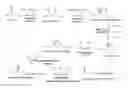 Fig. 01 - GENETICALLY MODIFIED MICROBES PRODUCING ISOPRENOIDS