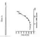 Fig. 15 - Multiplex cell signalling assays
