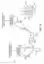 Fig. 03 - Transparent broadcast structure in communication systems