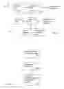 Fig. 05 - Transparent broadcast structure in communication systems