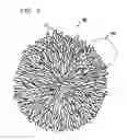 Fig. 02 - FILAMENTARY FABRIC ARTICLE