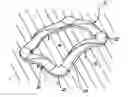 Fig. 01 - FITNESS DEVICE