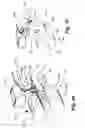 Fig. 41 - Exercise machine having rotatable weight selection index