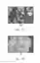 Fig. 04 - CaO Based Carbon Dioxide Absorbent and Method of Making