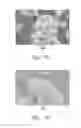 Fig. 05 - CaO Based Carbon Dioxide Absorbent and Method of Making