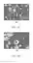 Fig. 10 - CaO Based Carbon Dioxide Absorbent and Method of Making