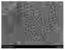 Fig. 01 - METHOD FOR SYNTHESIS OF TITANIUM DIOXIDE NANOTUBES USING IONIC LIQUIDS
