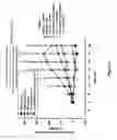 Fig. 03 - USE OF V2 RECEPTOR ANTAGONISTS IN COMBINATION WITH VASO PRESSINERGIC AGNOSTS