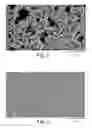 Fig. 02 - Porous polymeric resins
