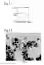 Fig. 06 - Nanoparticles comprising calcium phosphate and ethylene imine compositions and methods of production thereof
