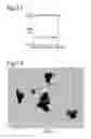 Fig. 08 - Nanoparticles comprising calcium phosphate and ethylene imine compositions and methods of production thereof