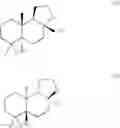 Fig. 09 - Process for the preparation of tetranorlabdane derivatives