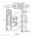 Fig. 02 - Brown adipose tissue utilization through neuromodulation