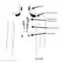 Fig. 15 - Brown adipose tissue utilization through neuromodulation