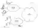 Fig. 02 - Intelligent IMS SIP session setup optimization