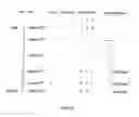 Fig. 07 - Register renaming of a partially updated data granule