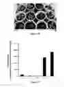 Fig. 06 - Method to improve plant resistance to infections